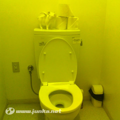 トイレが黄緑色