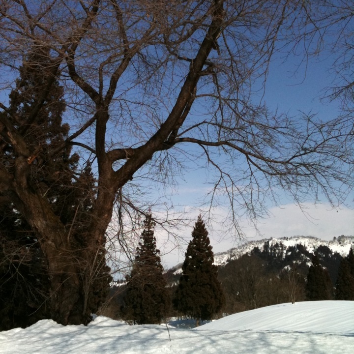 20100131_ski.jpg