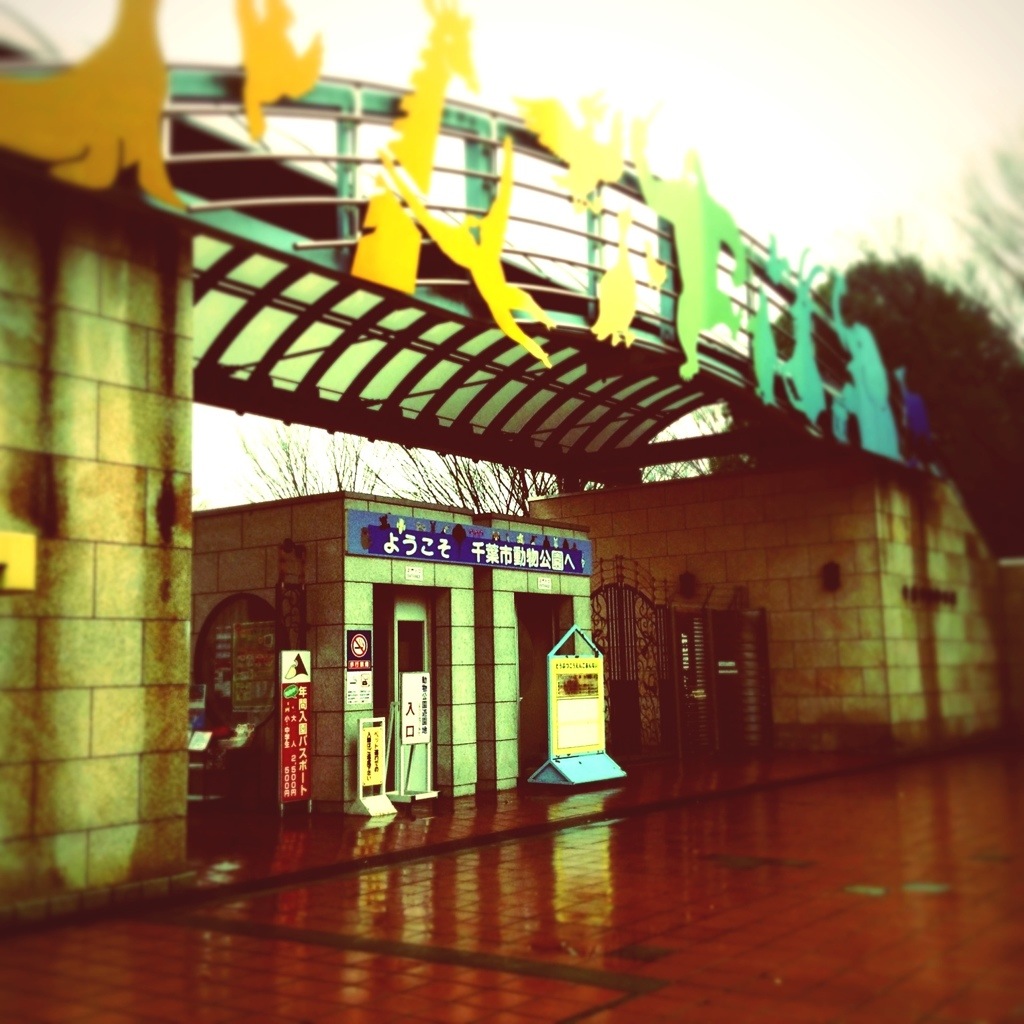 雨の千葉動物園入口